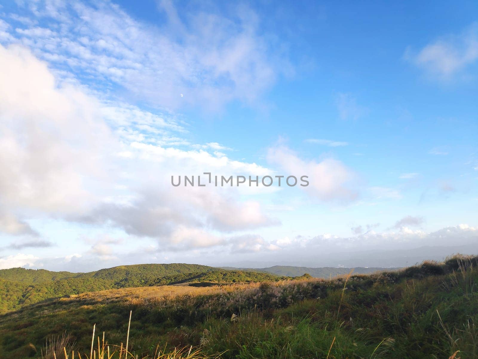 Qingtiangang, Taiwan-Oct 15, 2021: The natural source of alpine grasses is at Shangshan in Taipei City, Taipei City, Taiwan