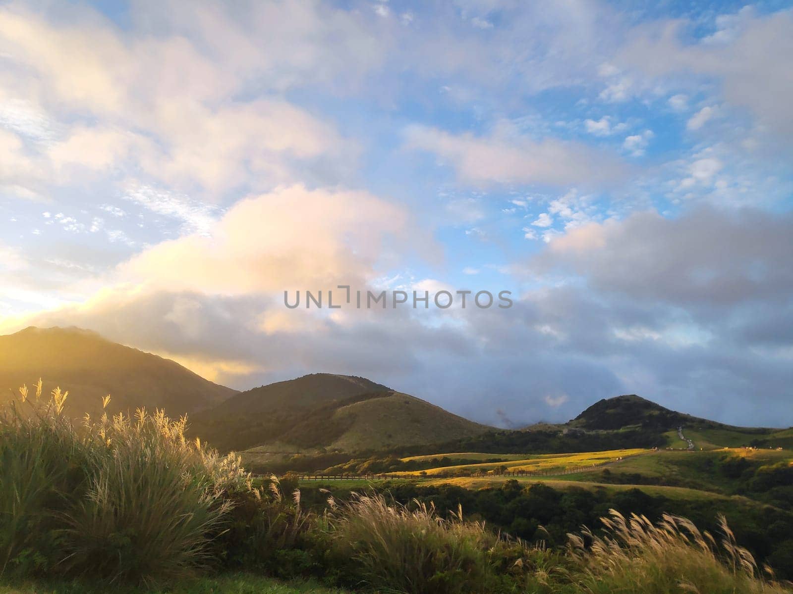Qingtiangang, Taiwan-Oct 15, 2021: The natural source of alpine grasses is at Shangshan in Taipei City, Taipei City, Taiwan