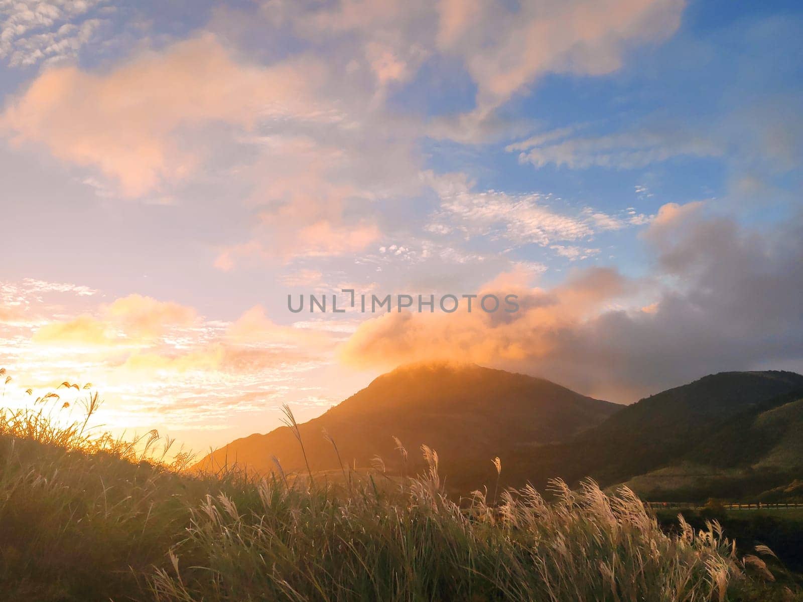 Qingtiangang, Taiwan-Oct 15, 2021: The natural source of alpine grasses is at Shangshan in Taipei City, Taipei City, Taiwan