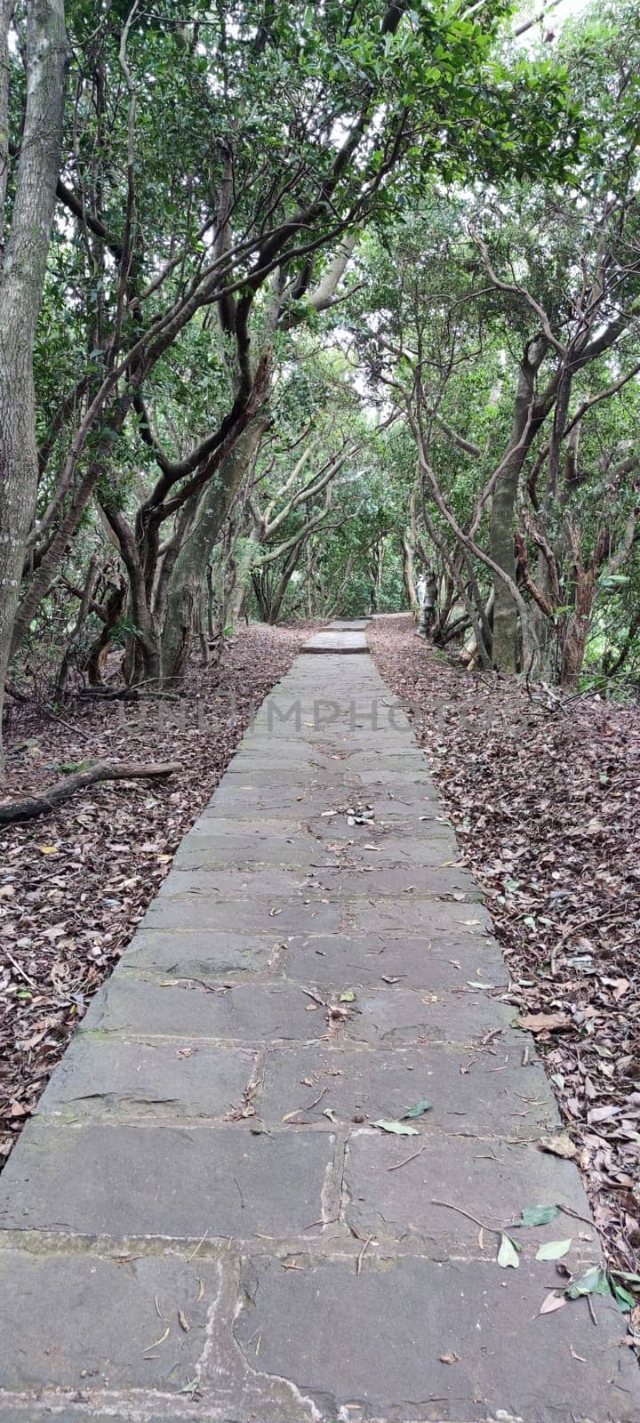 The Taipingling Sea View Trail, New Taipei City Oct 18, 2021, Taiwan