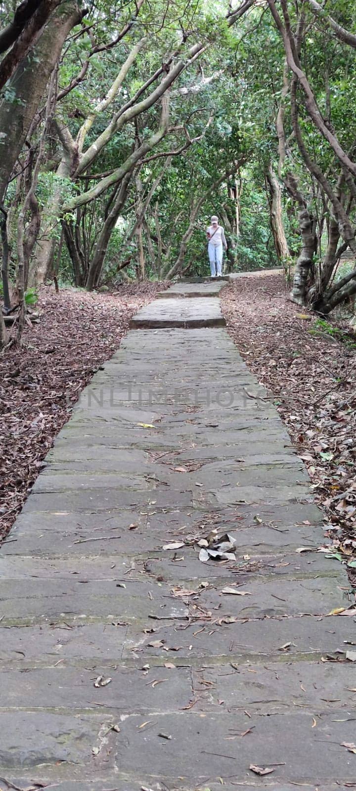 The Taipingling Sea View Trail, New Taipei City Oct 18, 2021, Taiwan