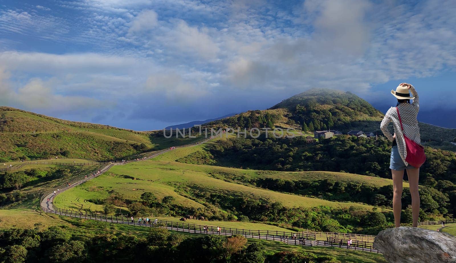 Qingtiangang, Taiwan-Oct 15, 2021: The natural source of alpine grasses is at Shangshan in Taipei City, Taipei City, Taiwan