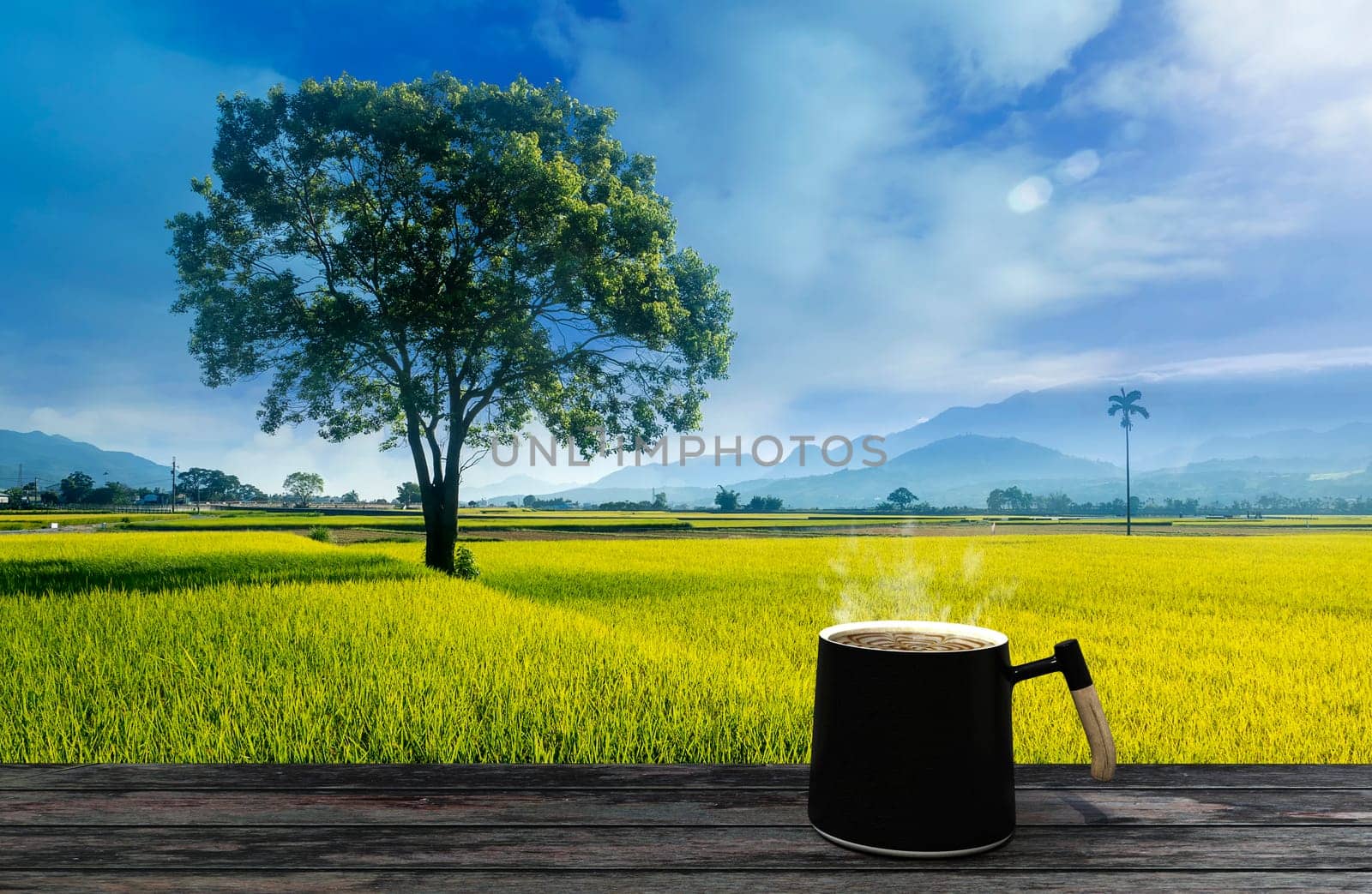 Qingtiangang, Taiwan-Oct 15, 2021: The natural source of alpine grasses is at Shangshan in Taipei City, Taipei City, Taiwan