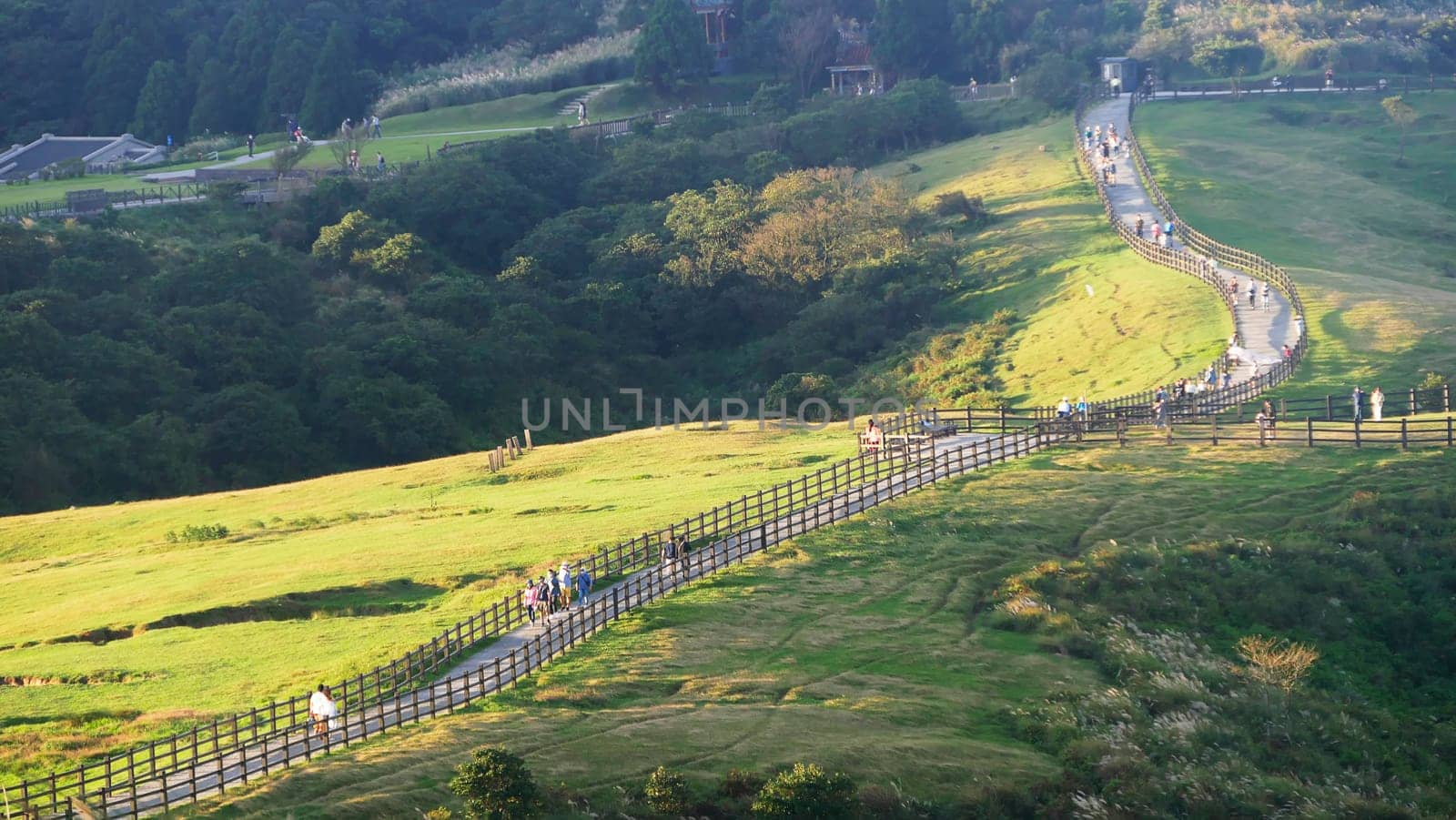 Qingtiangang, Taiwan-Oct 15, 2021: The natural source of alpine grasses is at Shangshan in Taipei City, Taipei City, Taiwan