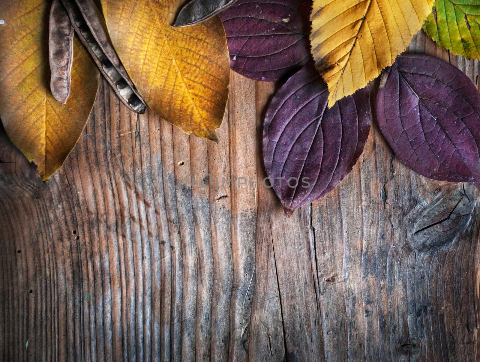 Autumn leaves on grunge wooden background