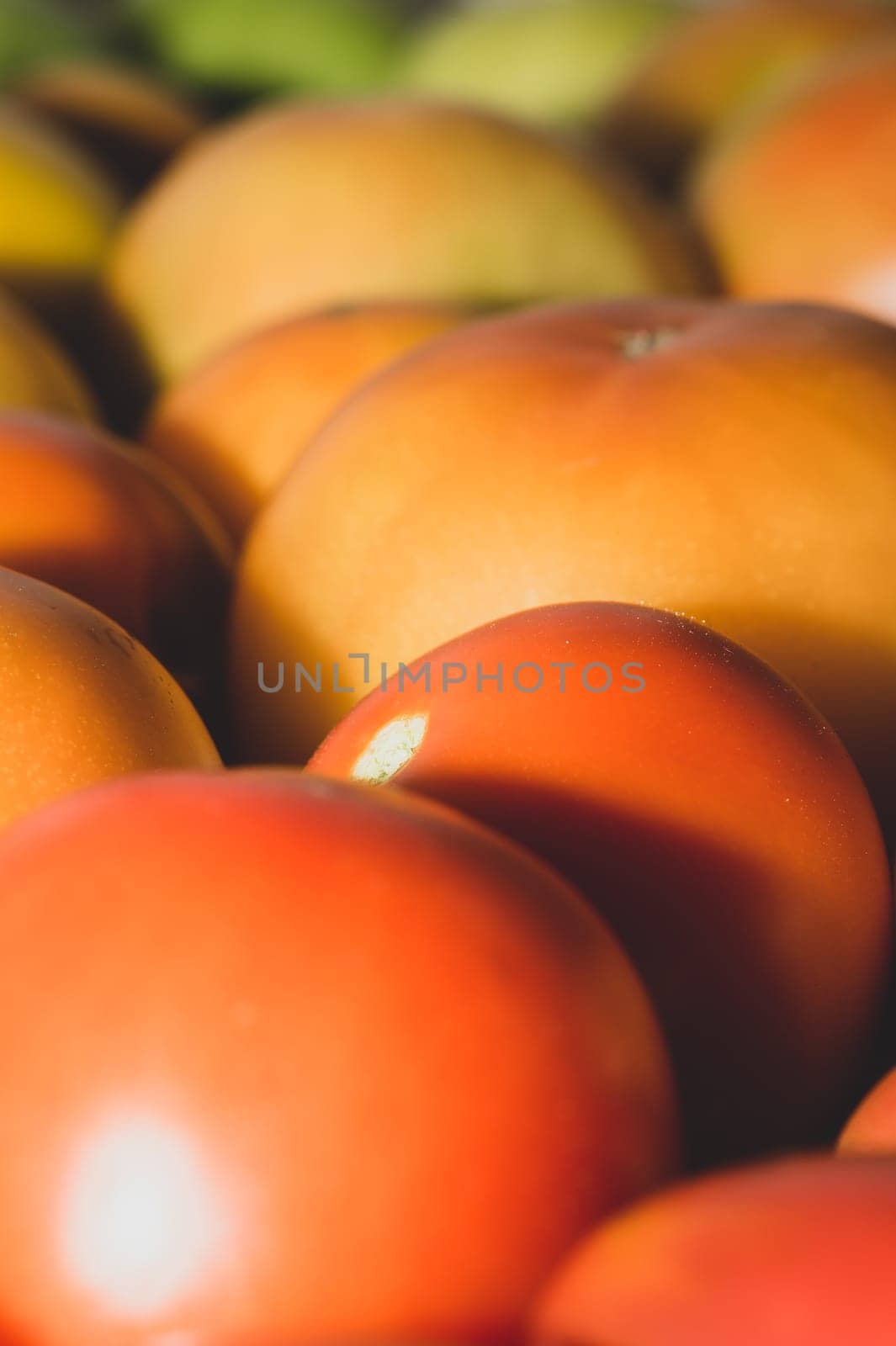 Tomatoes background. organic vegetables. healthy food vegetarian nutrition