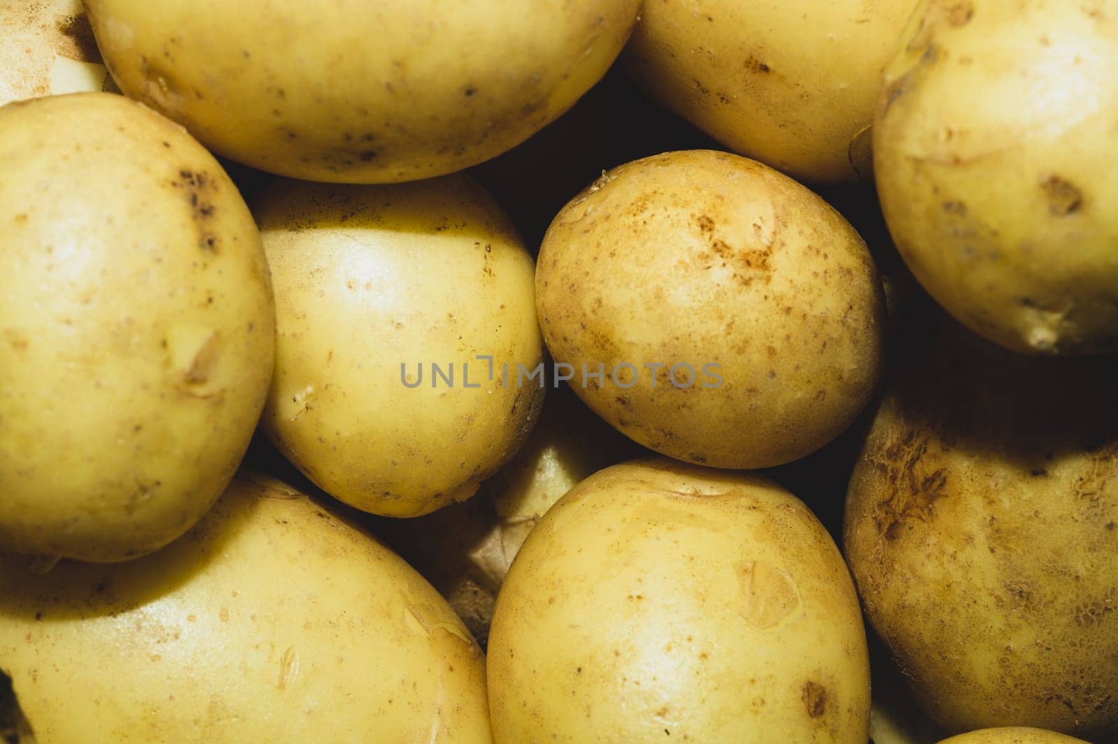 Fresh young potatoes. raw vegetables. healthy nutrition. vegetarian food