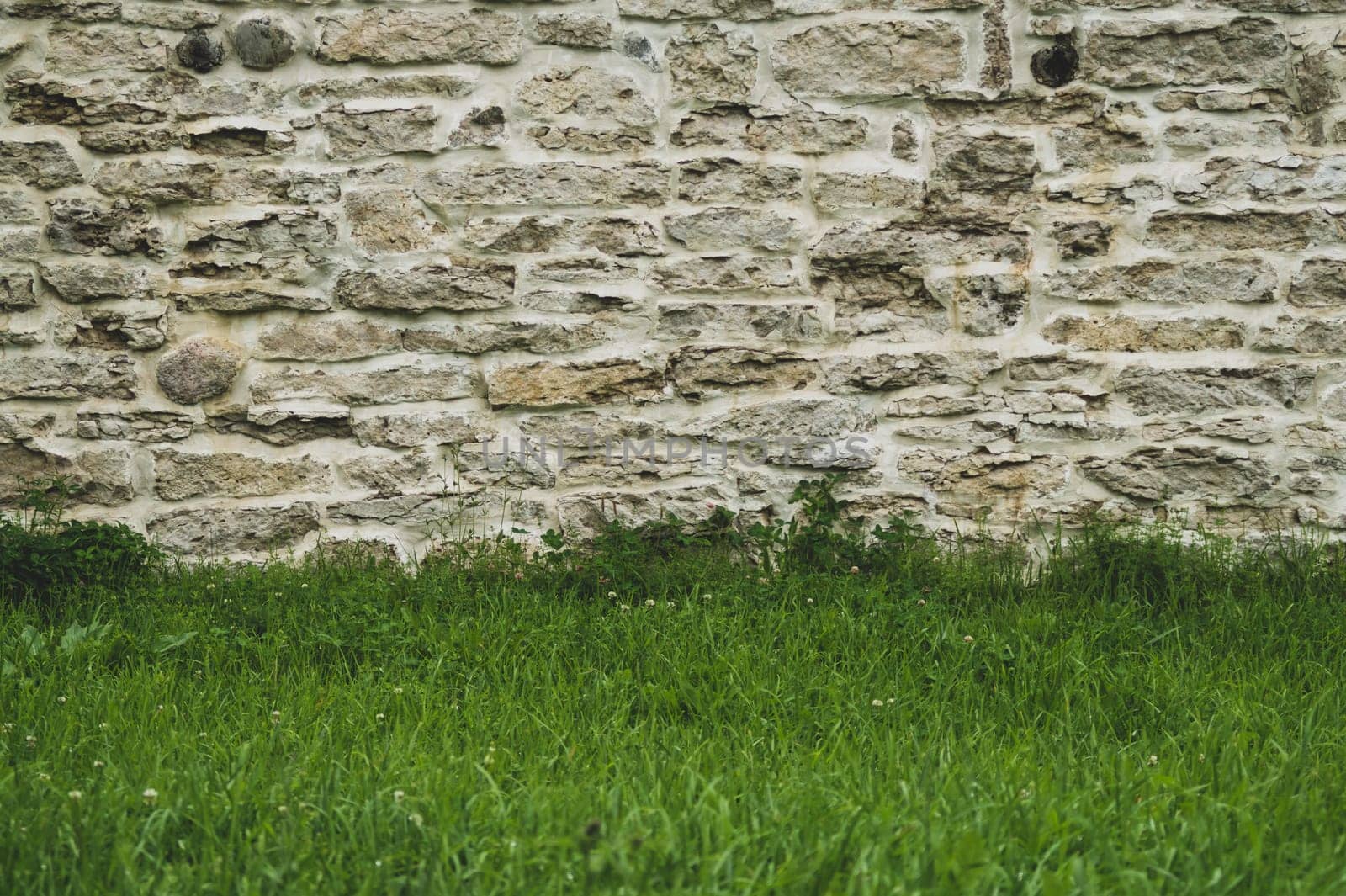 Brick wall and green grass. stone wall background. old masonry