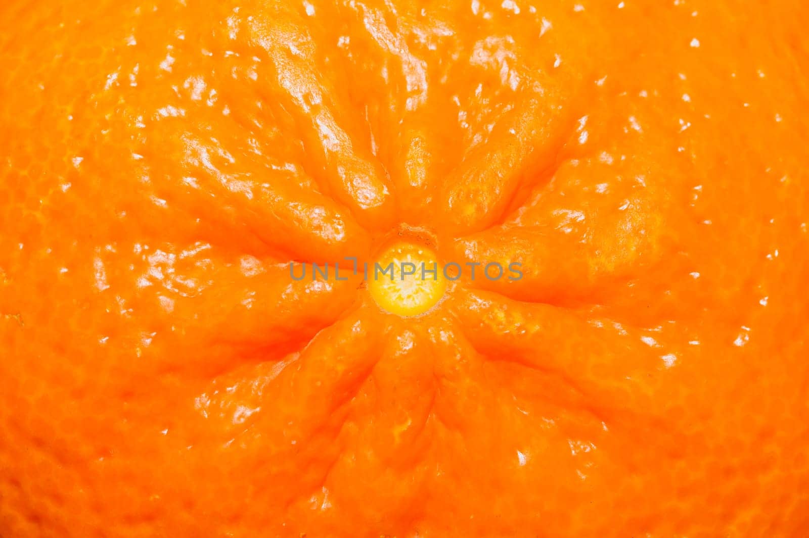 Mandarin peel macro texture. surface of orange fruit. citrus background