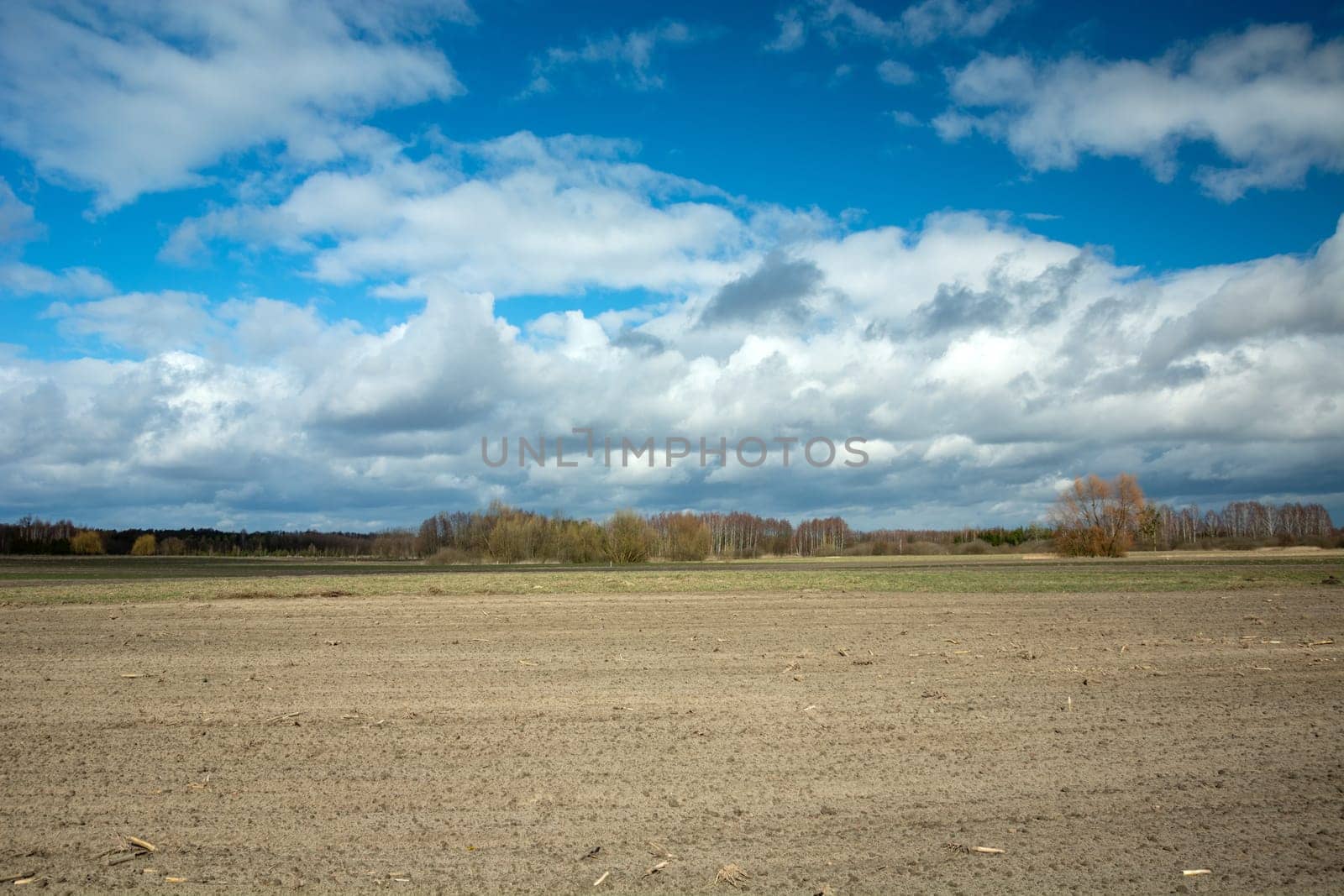 Plowed field and white clouds on the sky, Nowiny, Lubelskie, Poland