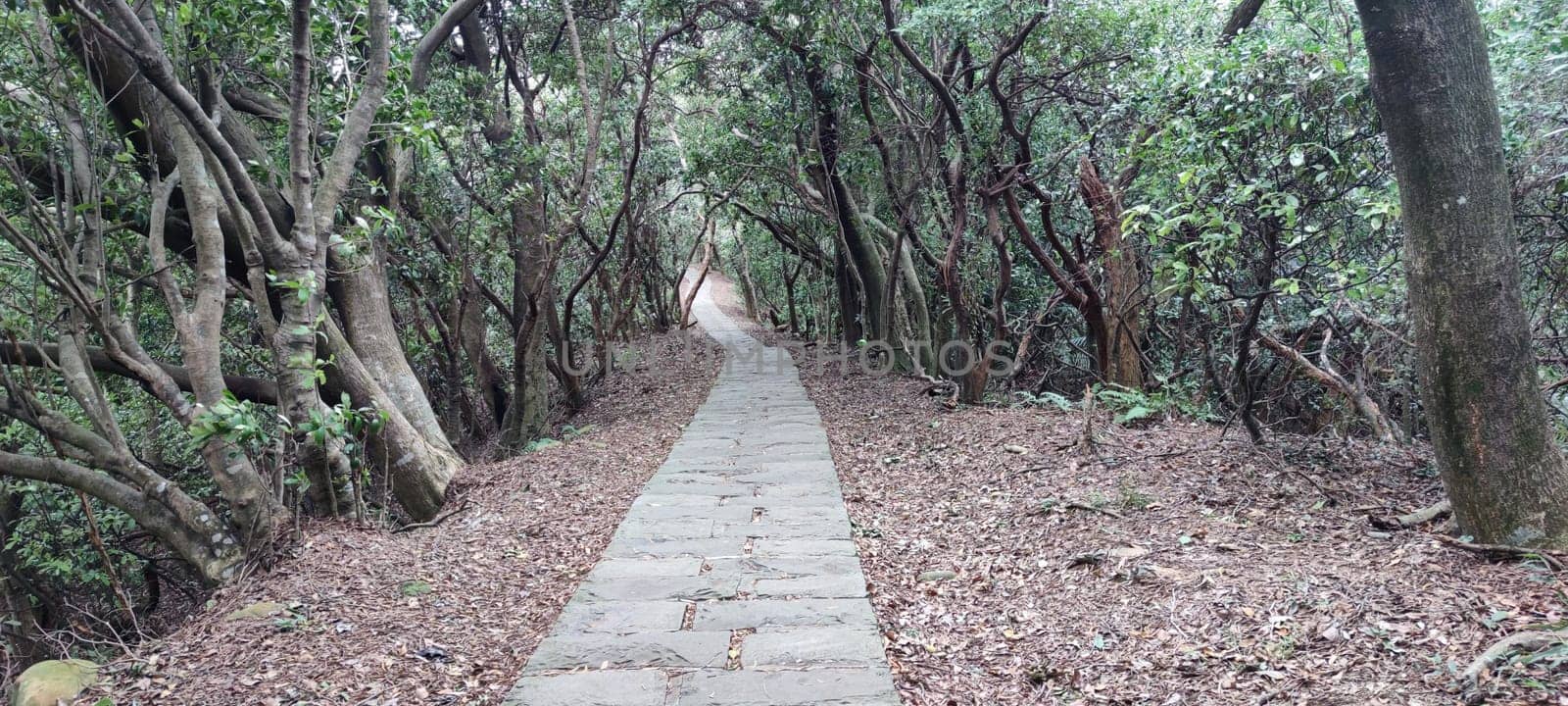 The Taipingling Sea View Trail, New Taipei City Oct 18, 2021, Taiwan