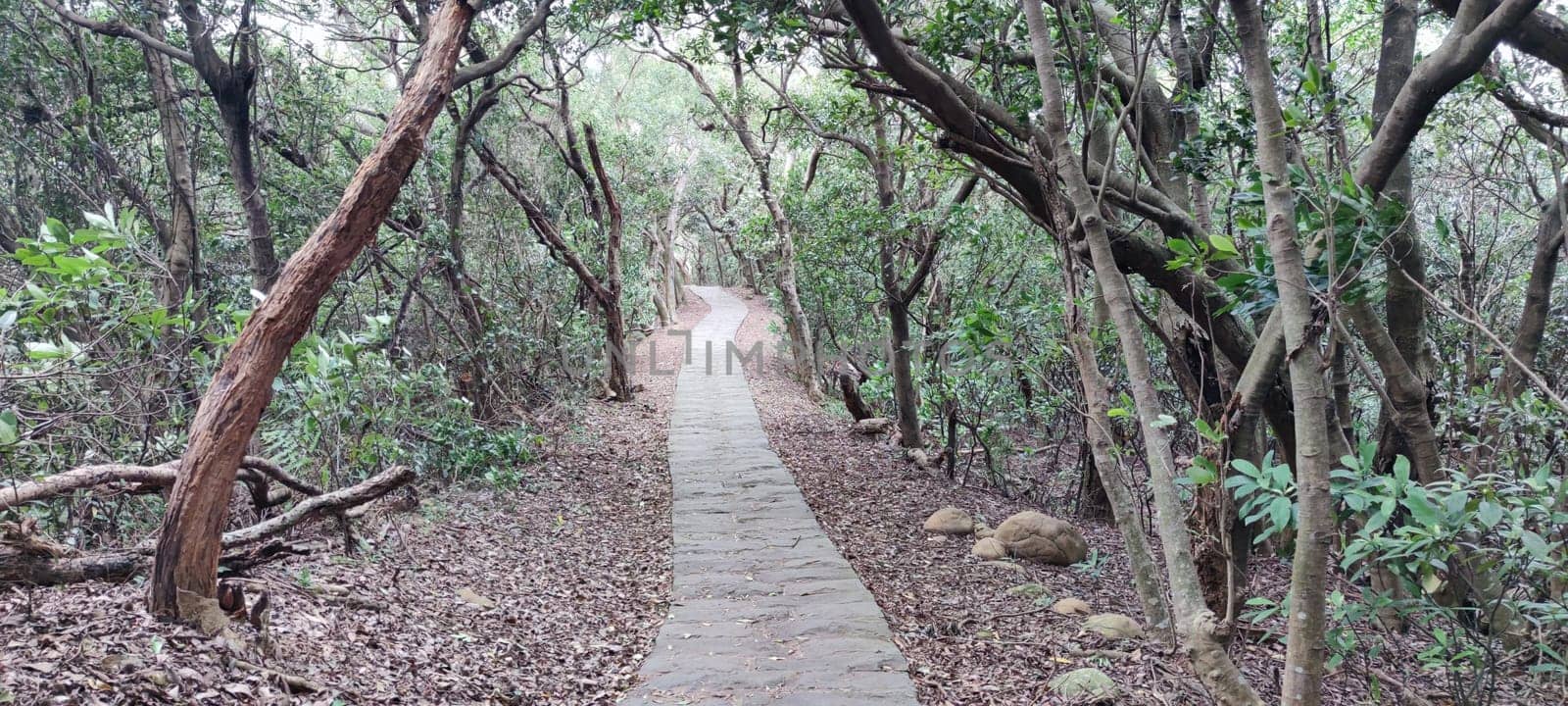 The Taipingling Sea View Trail, New Taipei City Oct 18, 2021, Taiwan