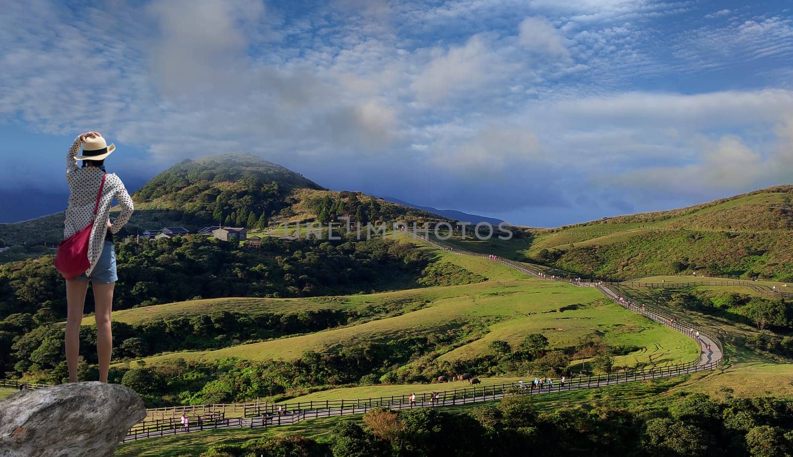Qingtiangang, Taiwan-Oct 15, 2021: The natural source of alpine grasses is at Shangshan in Taipei City, Taipei City, Taiwan