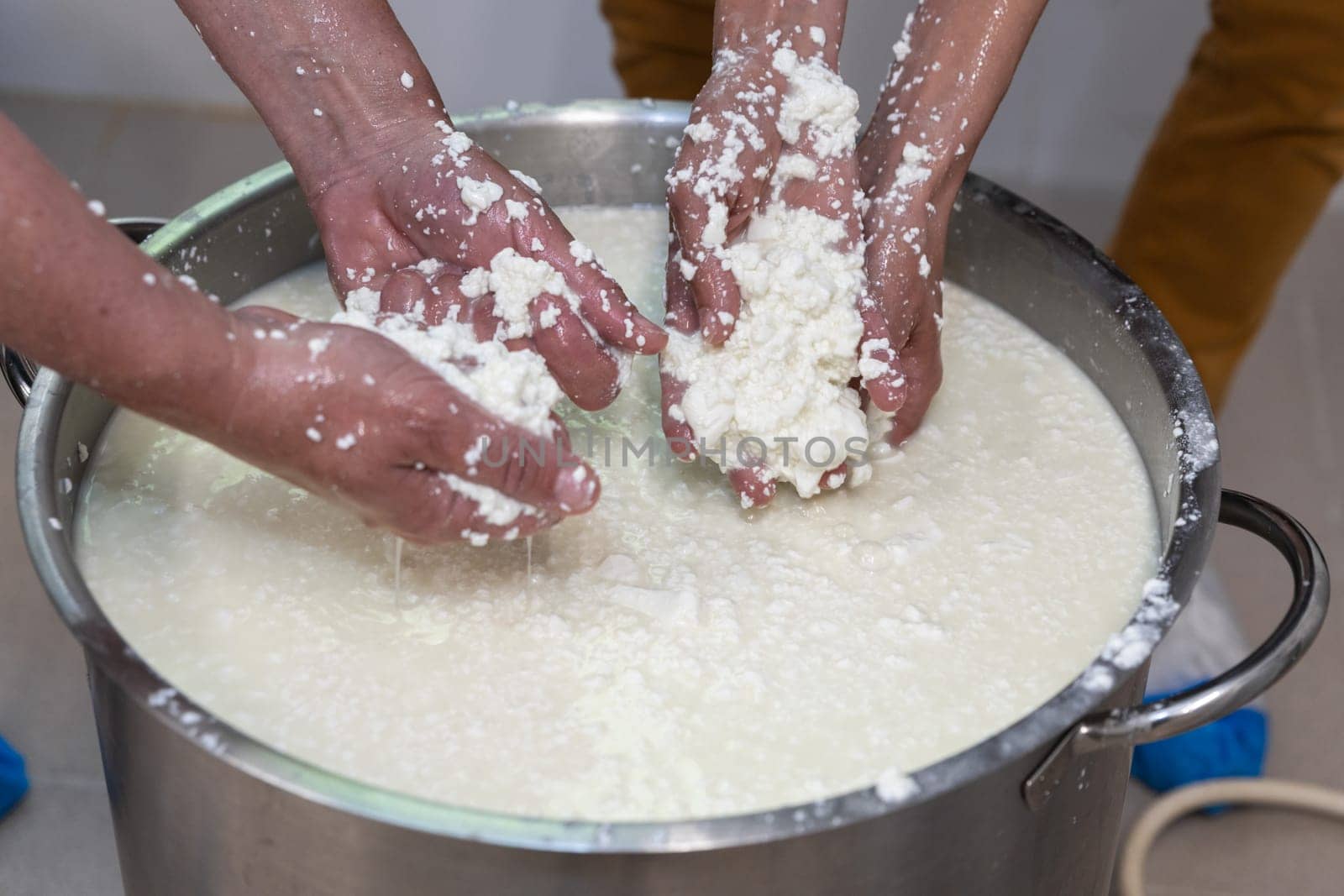 Cheese making process in a workshop. Hands making cheese, close up