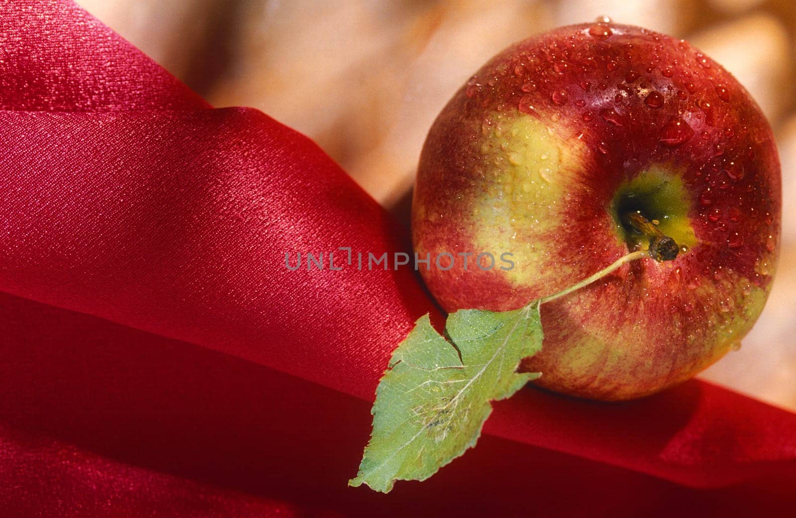 apple illustration.