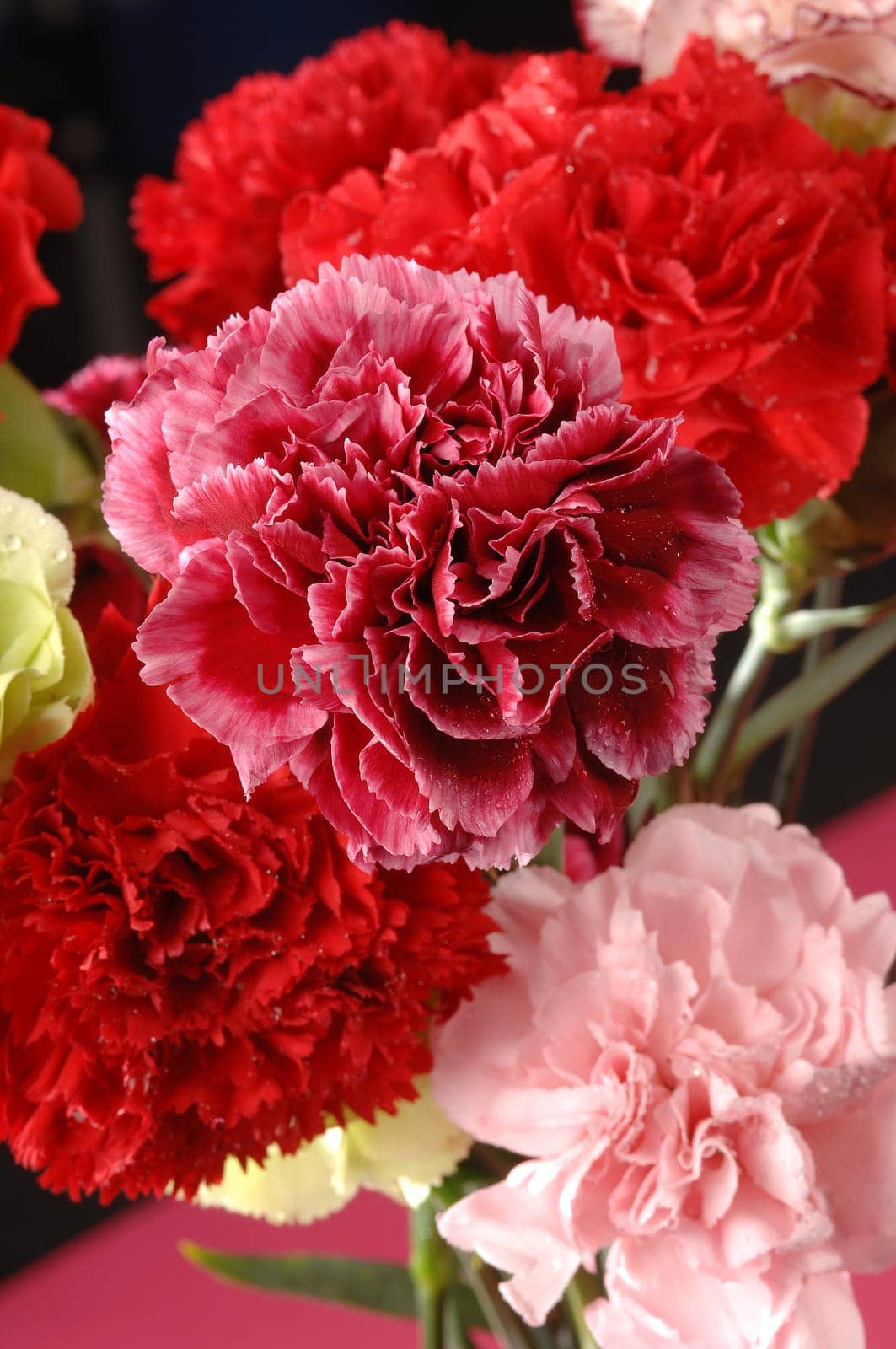 flower arrangements, clove