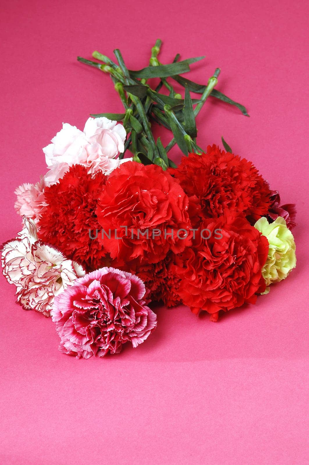 flower arrangements, clove