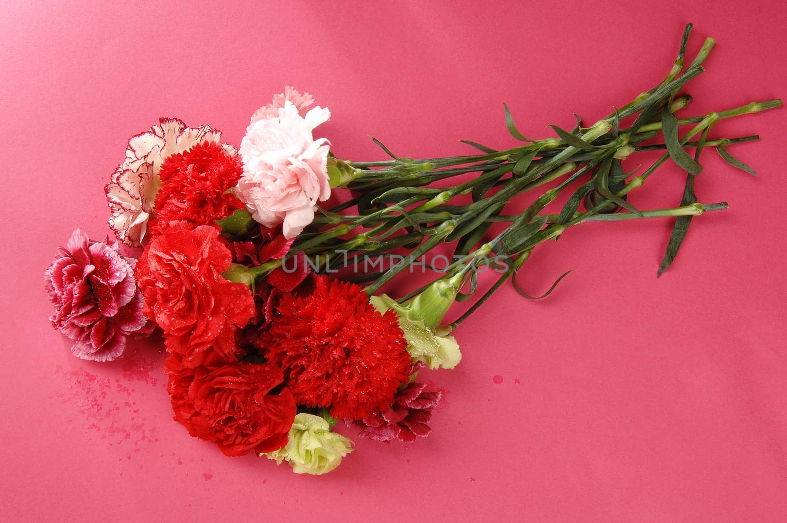 flower arrangements, clove