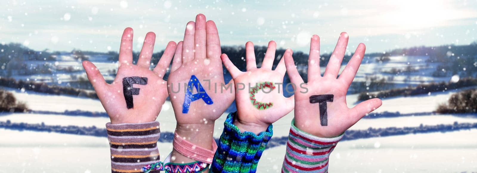 Children Hands Building Colorful English Word Fact. Snowy Winter Background With Snowflakes