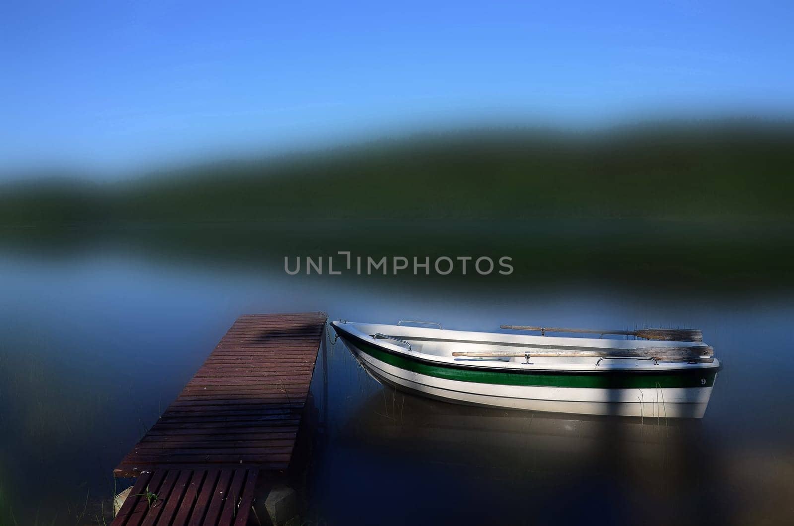 Mushroom Dabrowa, a boat on the lake