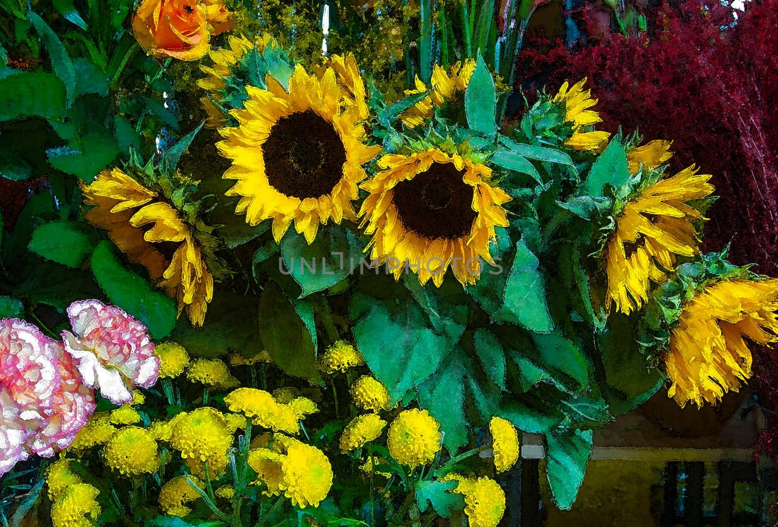 flower photos, compositions.