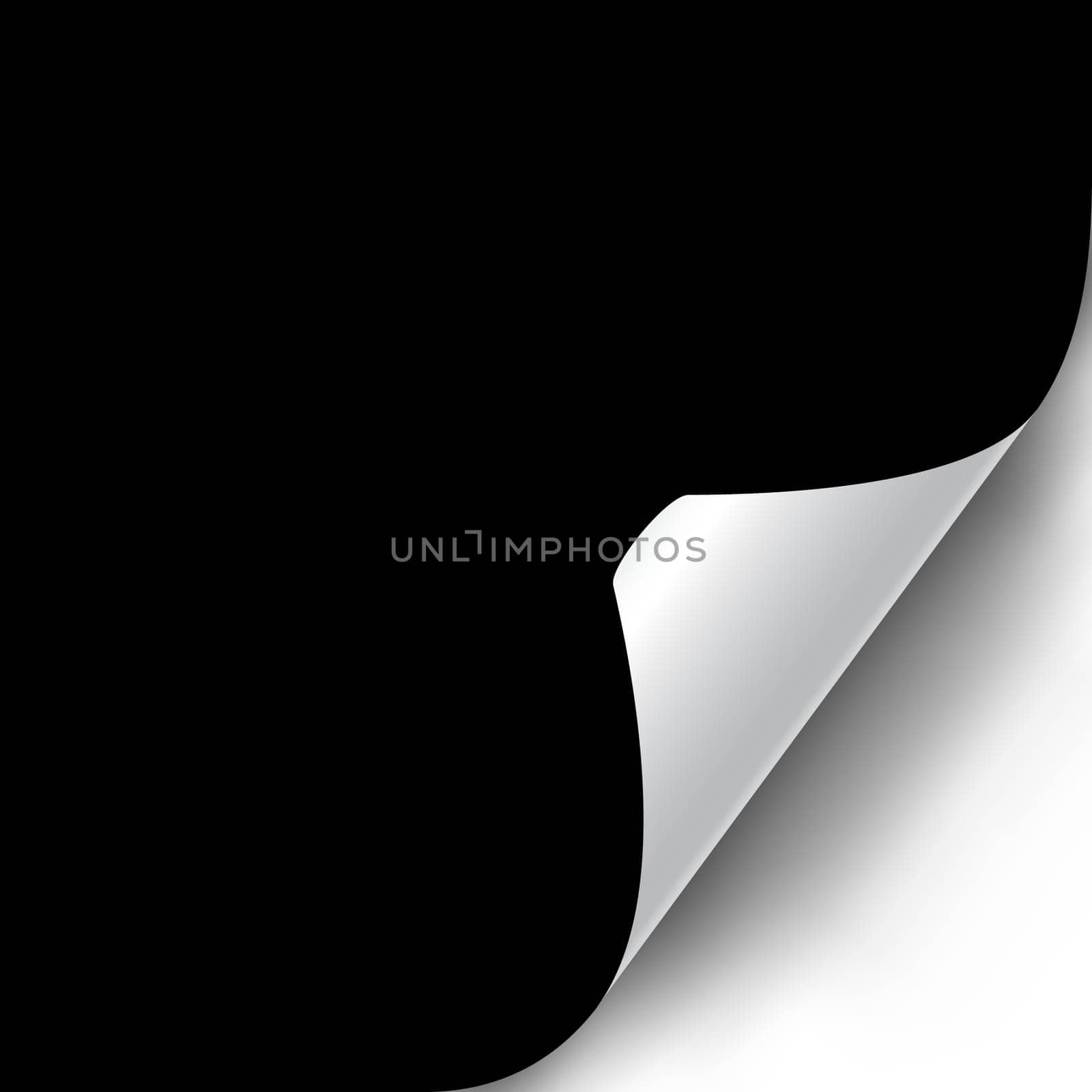Curly Page Corner realistic illustration with transparent shadow. Ready to apply to your design. Graphic element for documents, templates, posters, flyers. Vector illustration