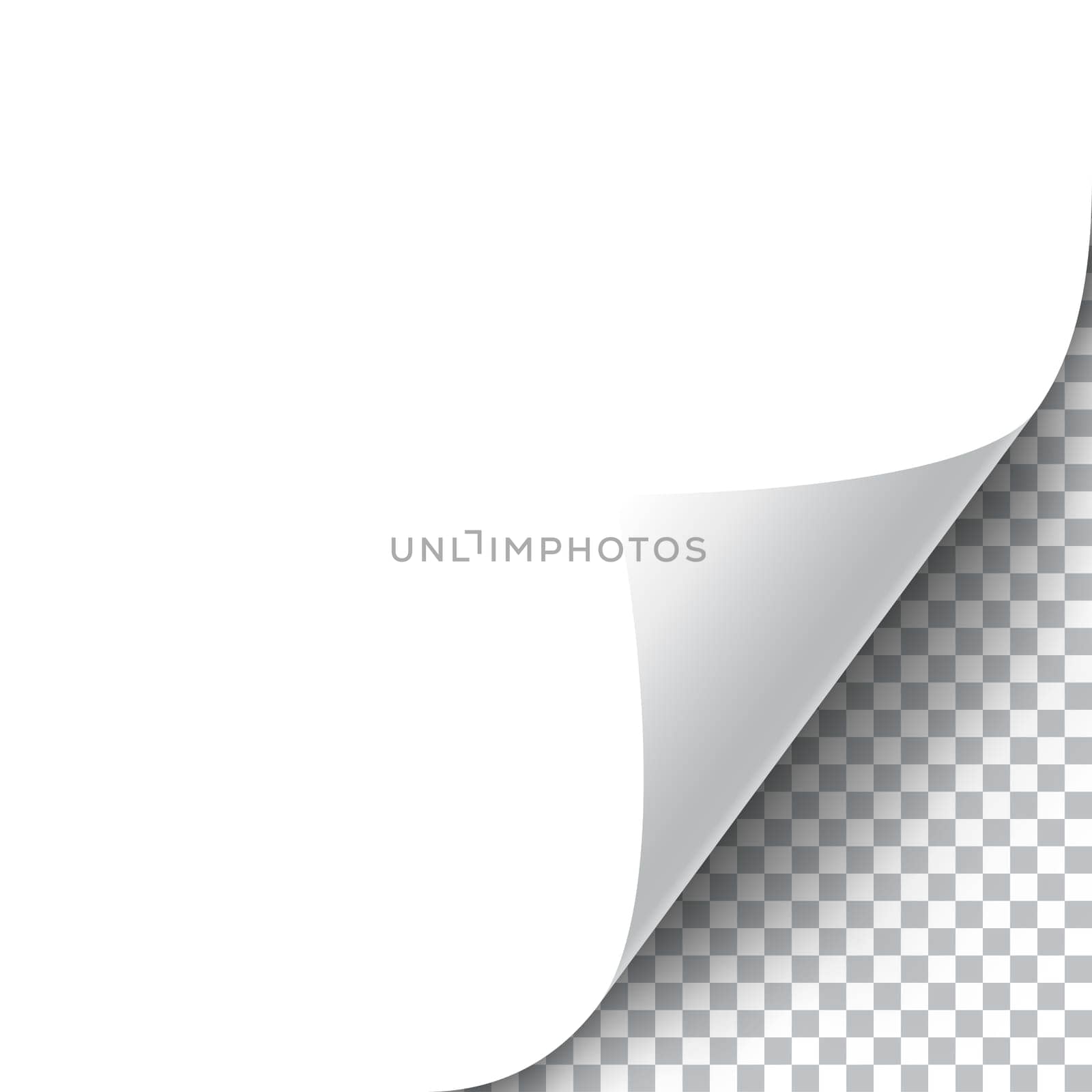 Curly Page Corner realistic illustration with transparent shadow. Ready to apply to your design. Graphic element for documents, templates, posters, flyers. Vector illustration.