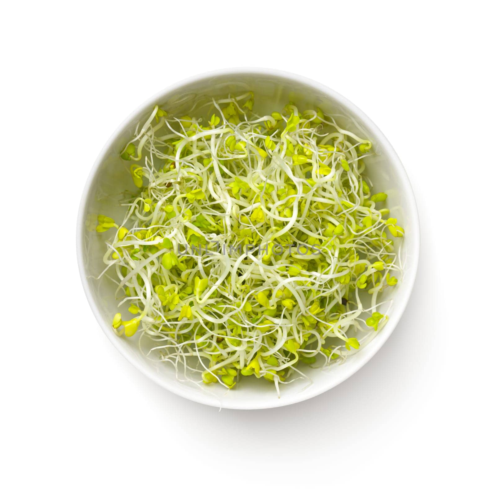 Fresh broccoli sprouts in white bowl isolated on white background. View from above