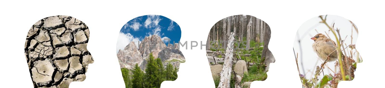 Dry river bed, mountains, bird, damaged forest, images of the earth, enviromental issues, silhoutte heads, climate change