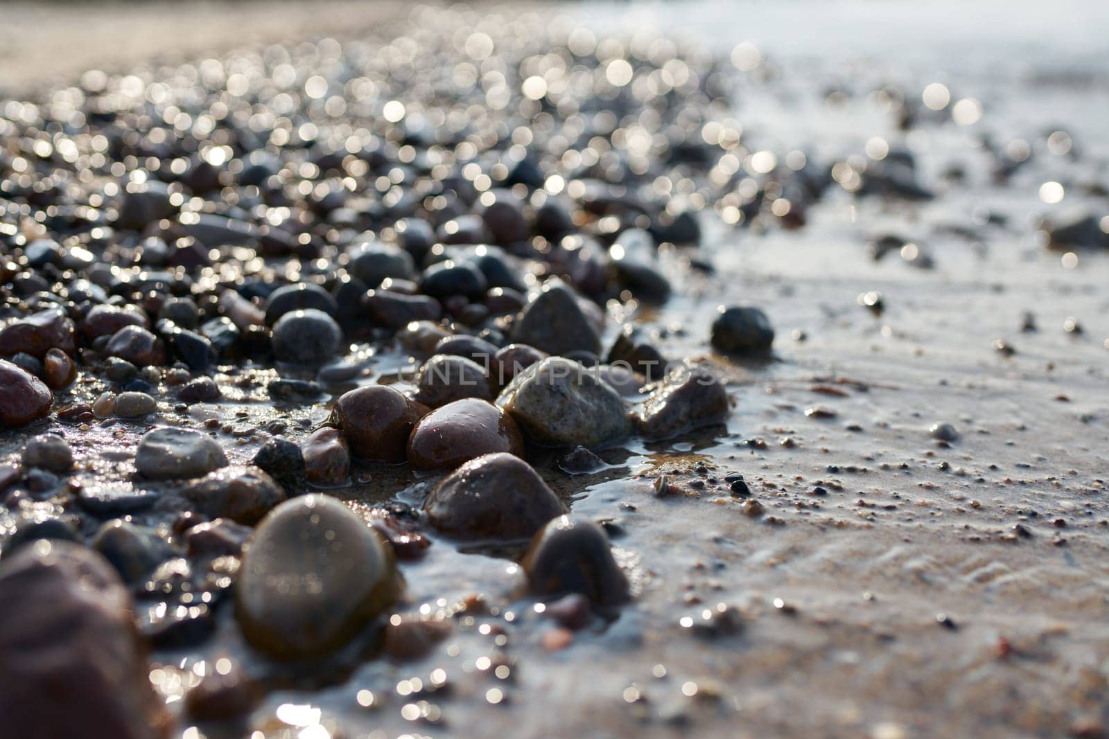 Pebbles on the beach of the Polish Baltic Sea coast near Kolobrzeg at sunset in backlight