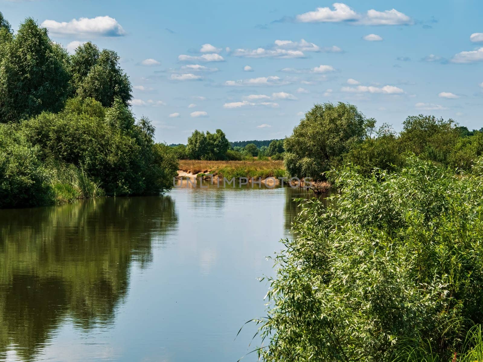 The water surface of the river against the blue sky. Water stream. Lakes and rivers. Coastline. Green leaves of trees. Blue sky. White clouds. Natural landscape. Summer. Reflection in water.