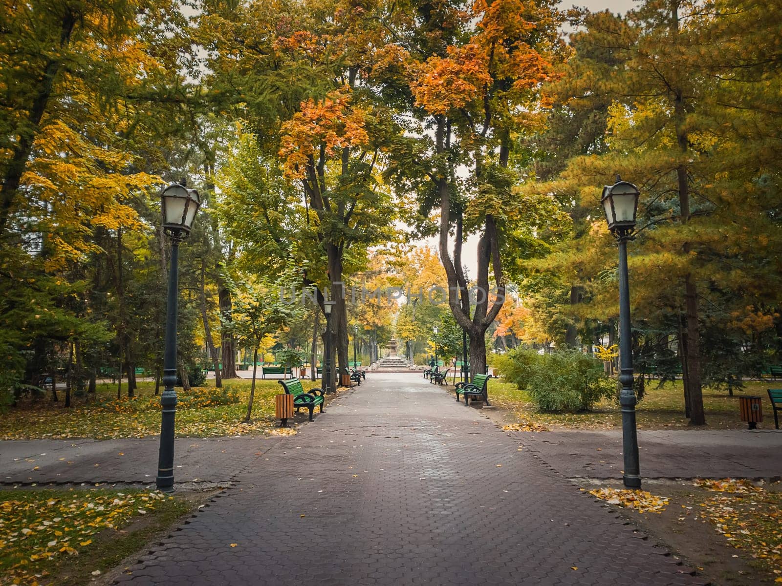 Rainy autumn season morning in the empty city park. Beautiful view and silence, colorful leaves fallen on the ground and alleys of Stephen III The Great square in Chisinau, Moldova.