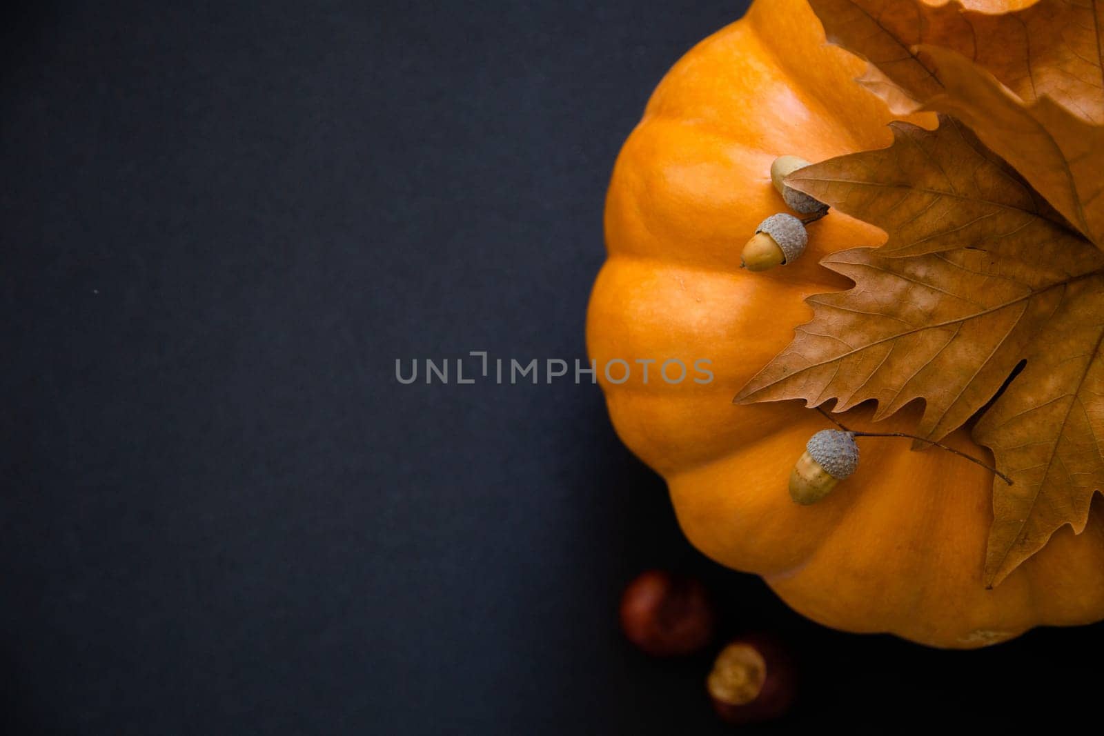 An orange pumpkin with leaves and acorns on a black background. High quality photo