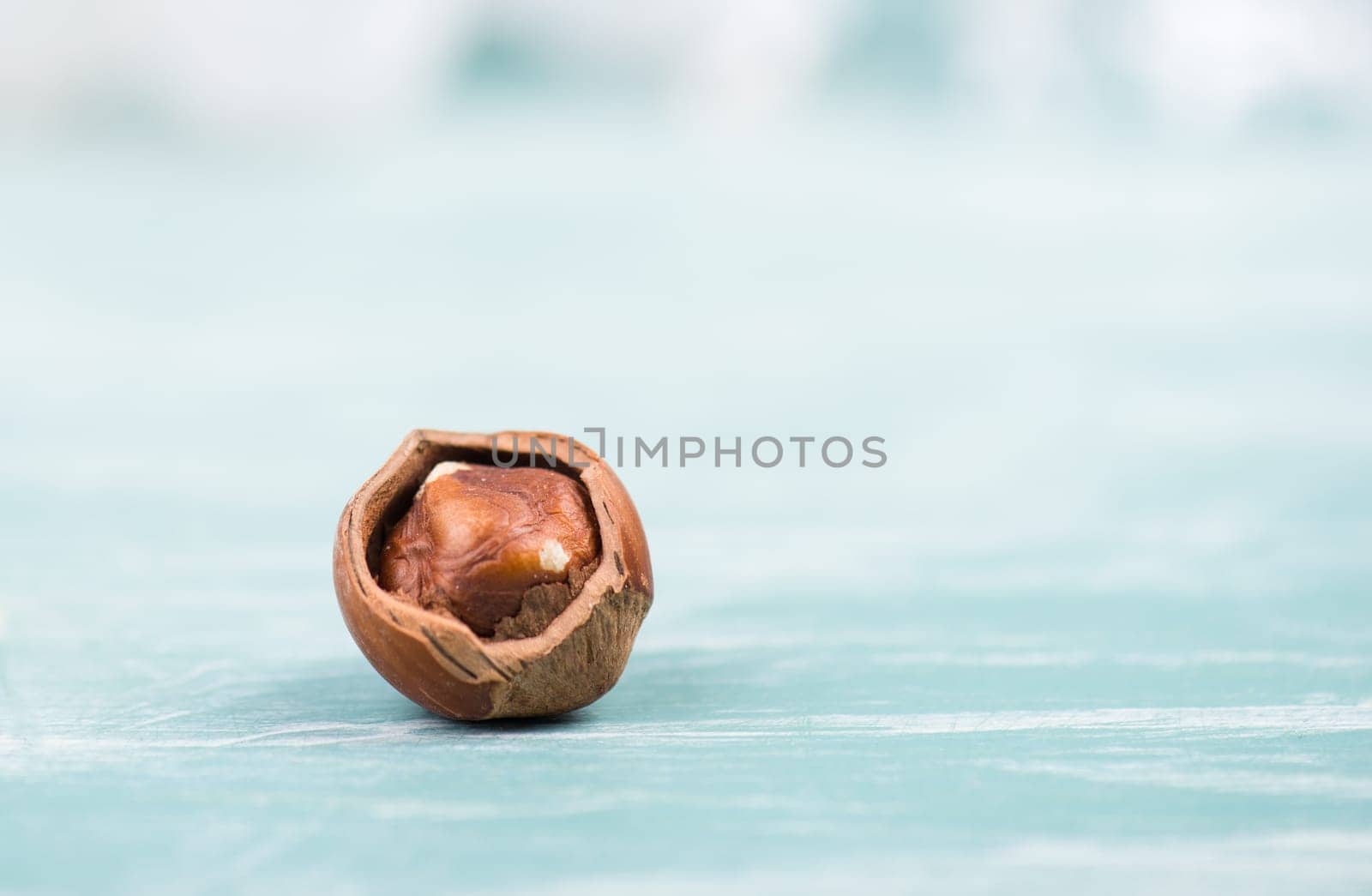Close up of a hazelnut, blue colored wooden background, copy space