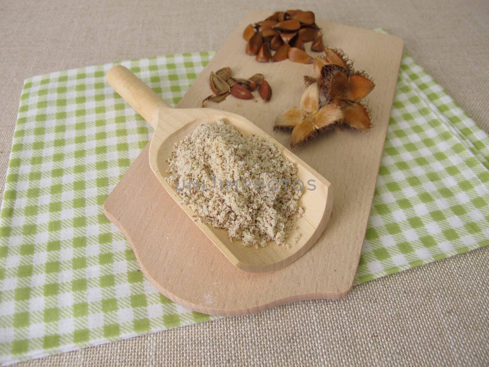 Homemade beechnuts flour, ground beechwoods on a wooden spoon