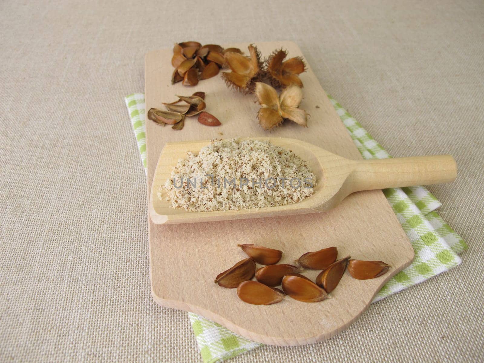 Homemade beechnuts flour, ground beechwoods on a wooden spoon