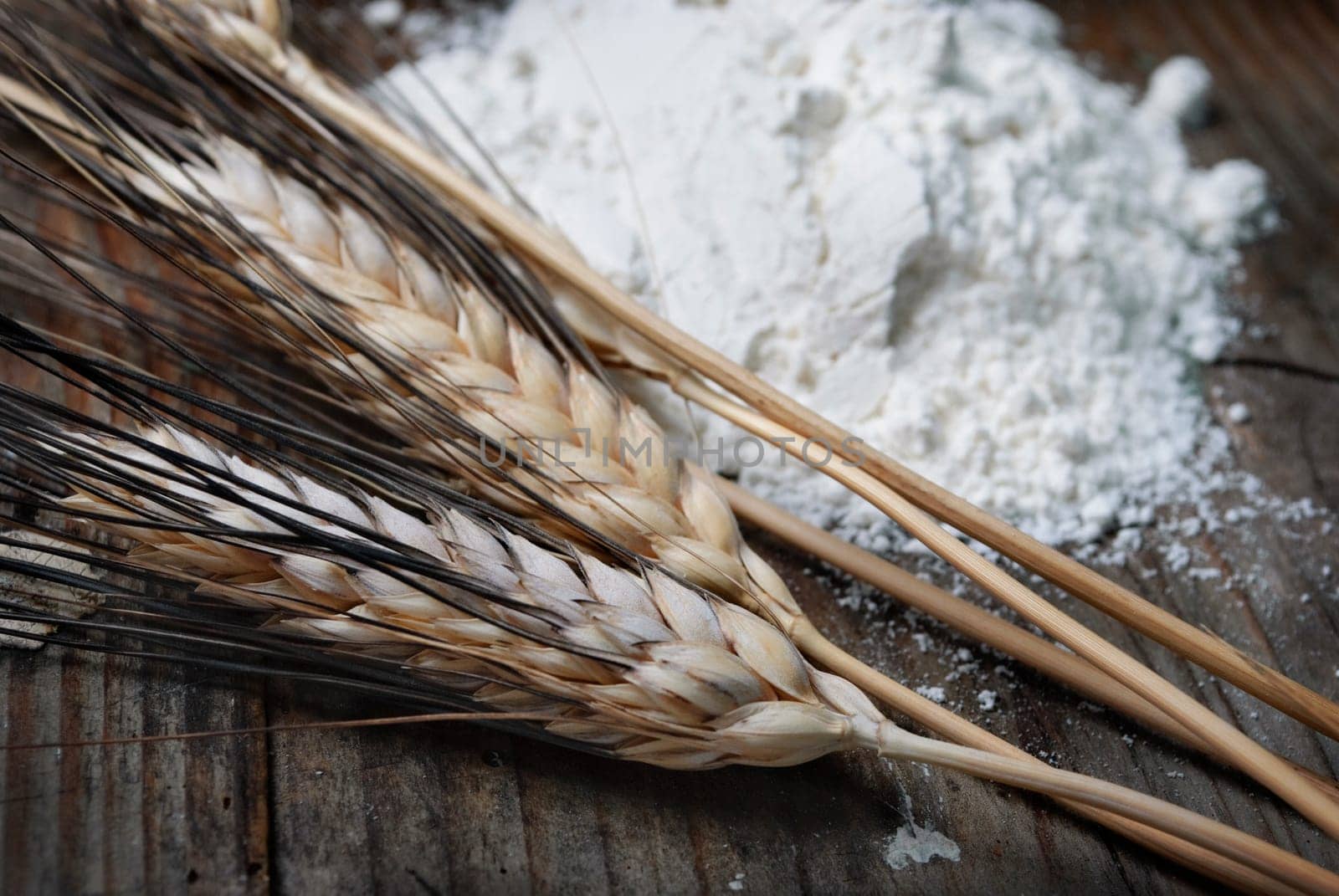 Wheat ears on an old wooden plank