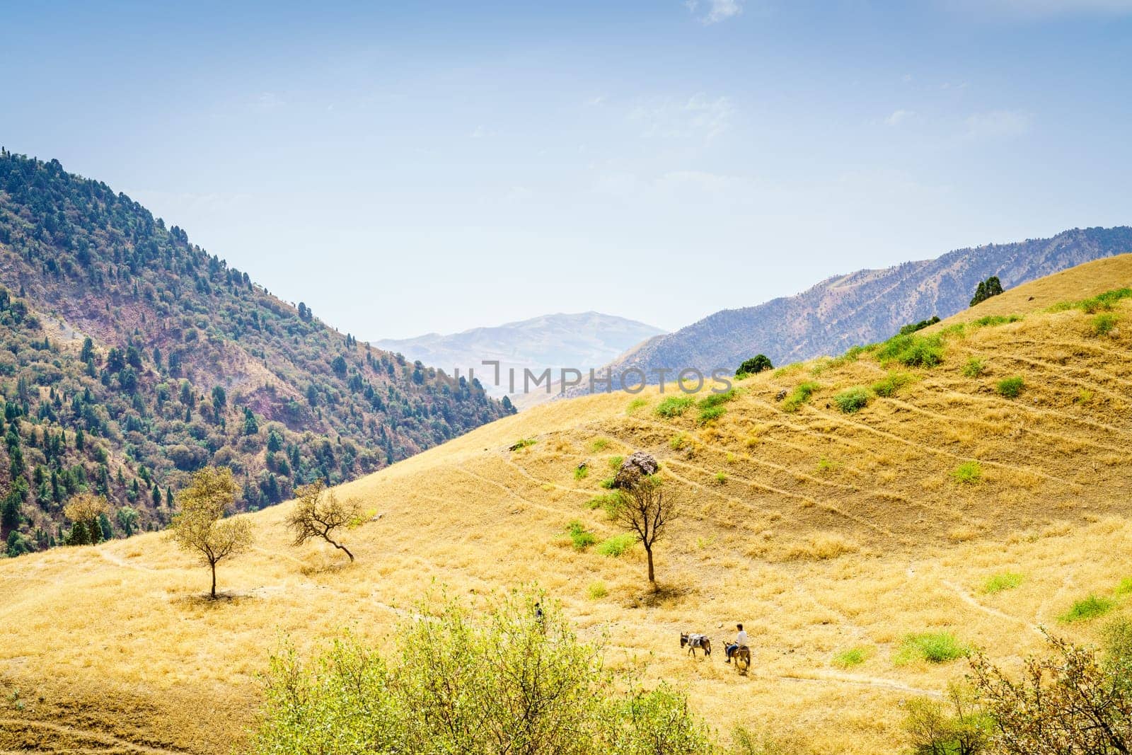 A trail in Hissar Valley in Shirkent National Park in Tajikistan