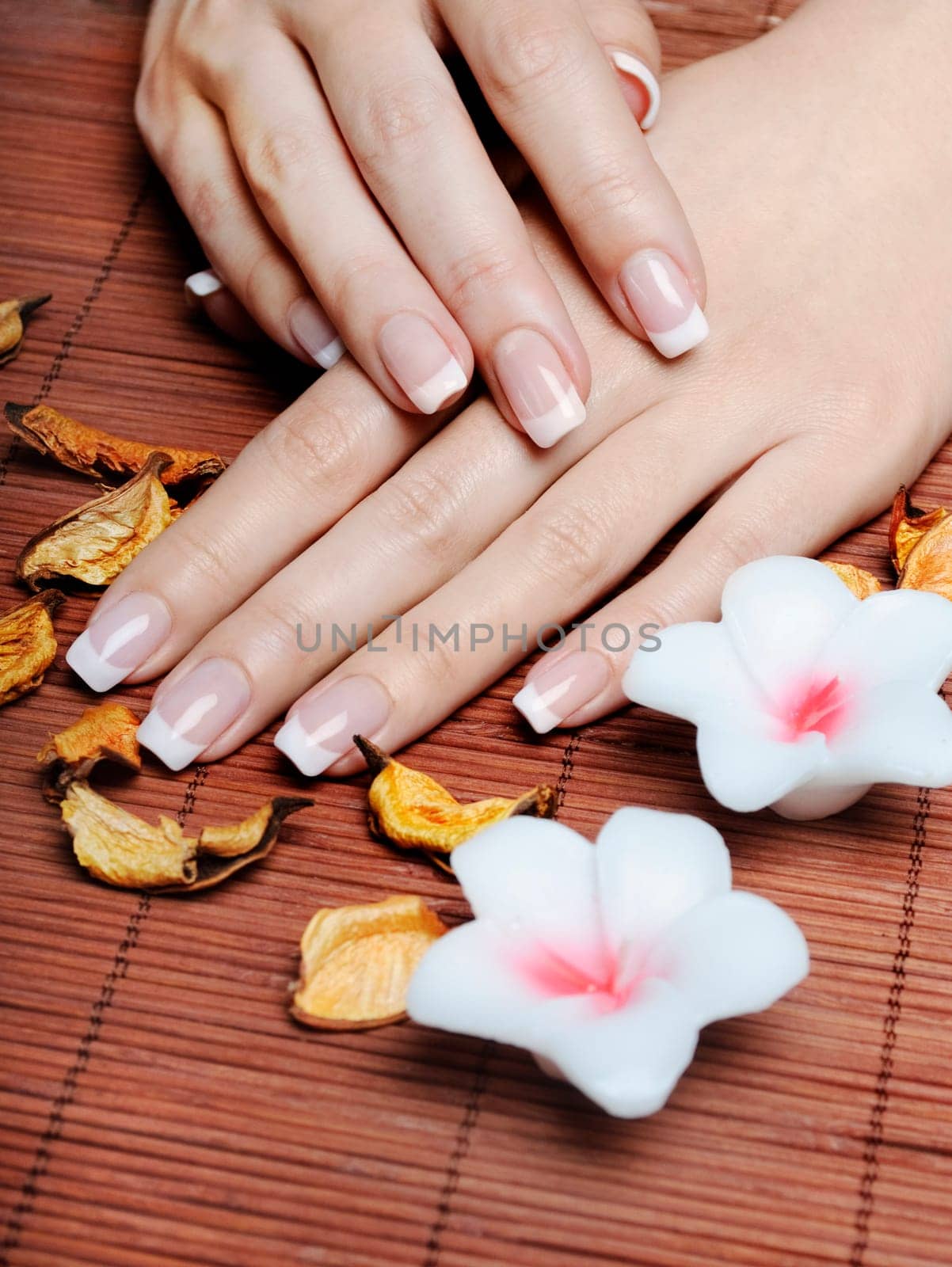 Female hands with french manicure