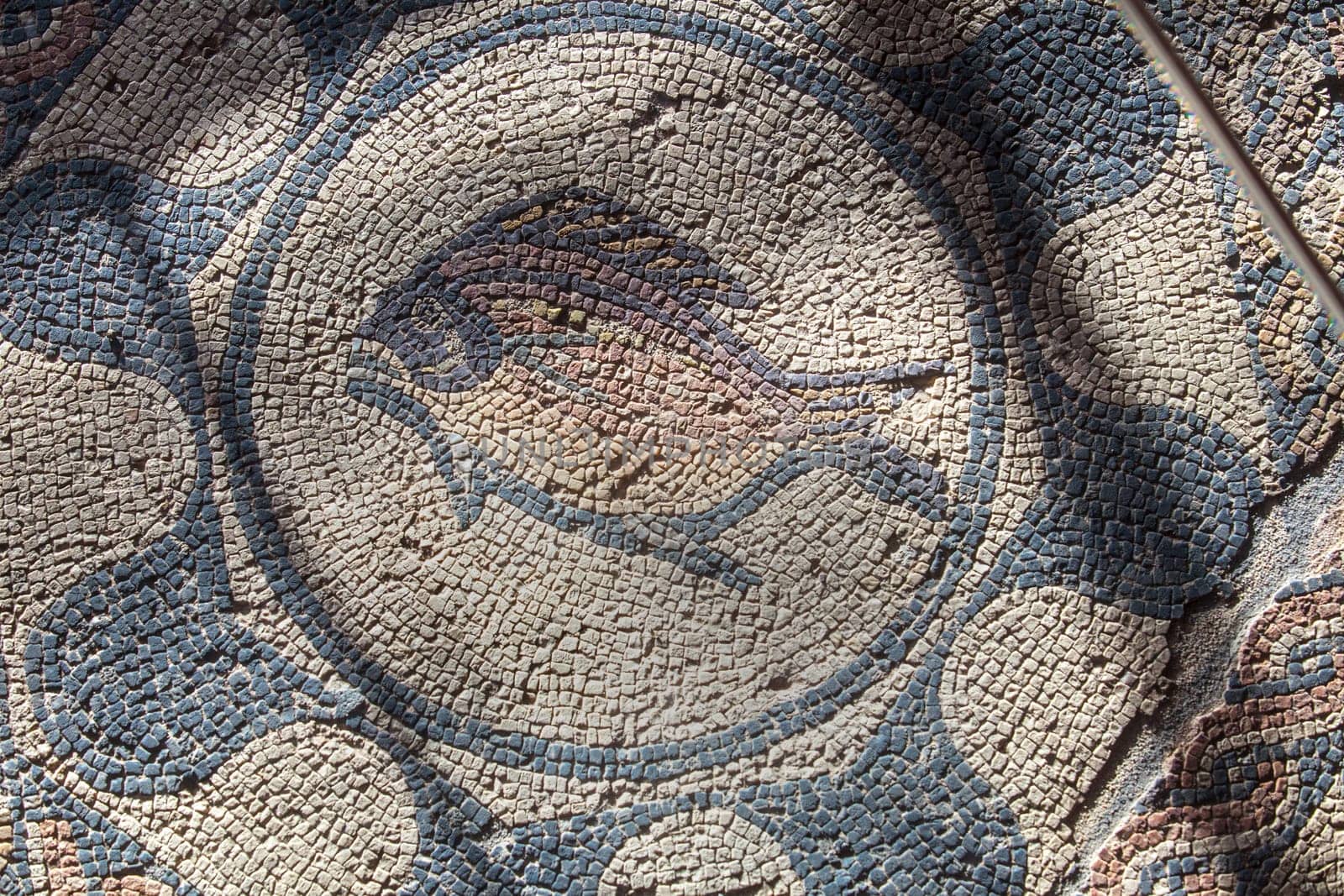Merida, Spain - Dec 12th, 2020: Fish mosaic. Amphitheatre House of Merida. Extremadura, Spain