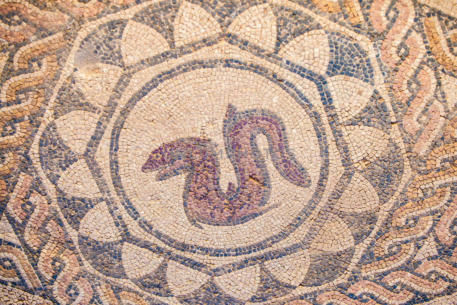 Merida, Spain - Dec 12th, 2020: Eel mosaic. Amphitheatre House of Merida. Extremadura, Spain
