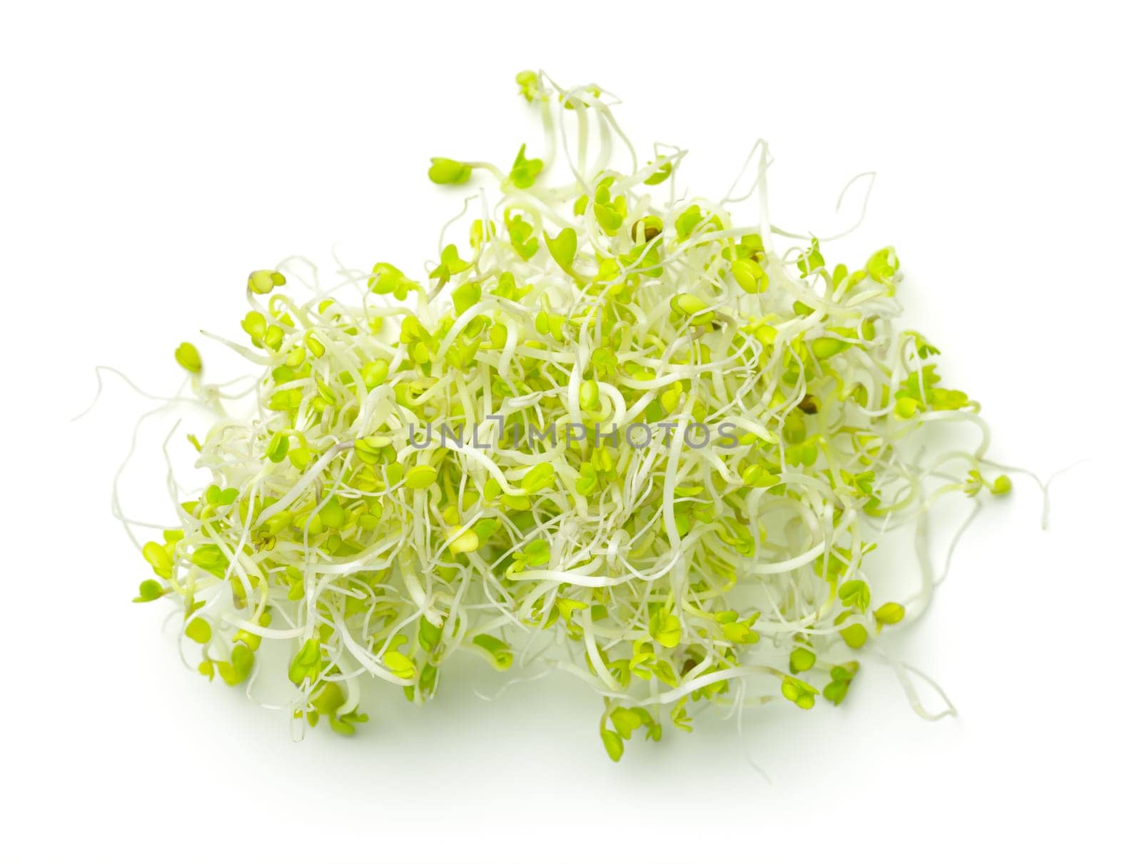 Broccoli sprouts isolated on white background. View from above