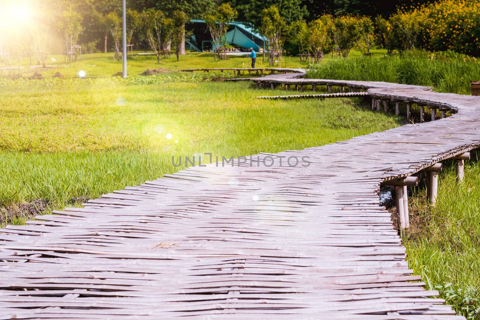 Curve Bamboo Bridge. Curved wooden bridge at park in paddy field