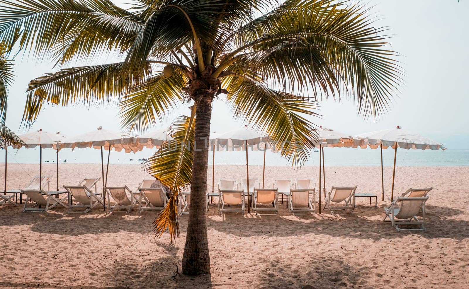 Deckchairs And Parasol With Palm Trees In The Tropical Beach. Beach in Thailand Asia and umbrellas on the beach