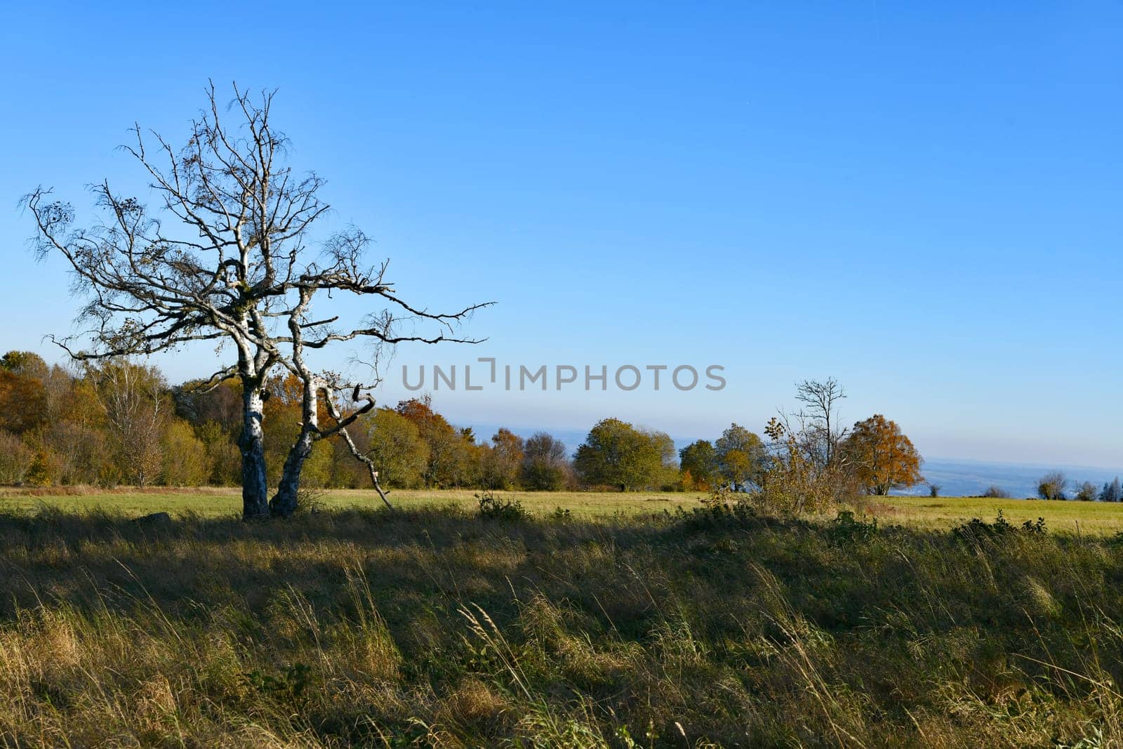 View of the autumnal Rhön
