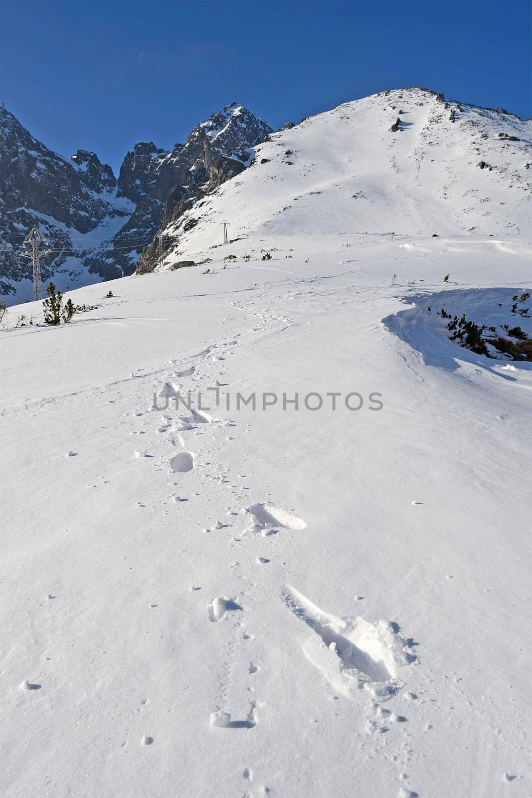 Mountains in winter with cable car