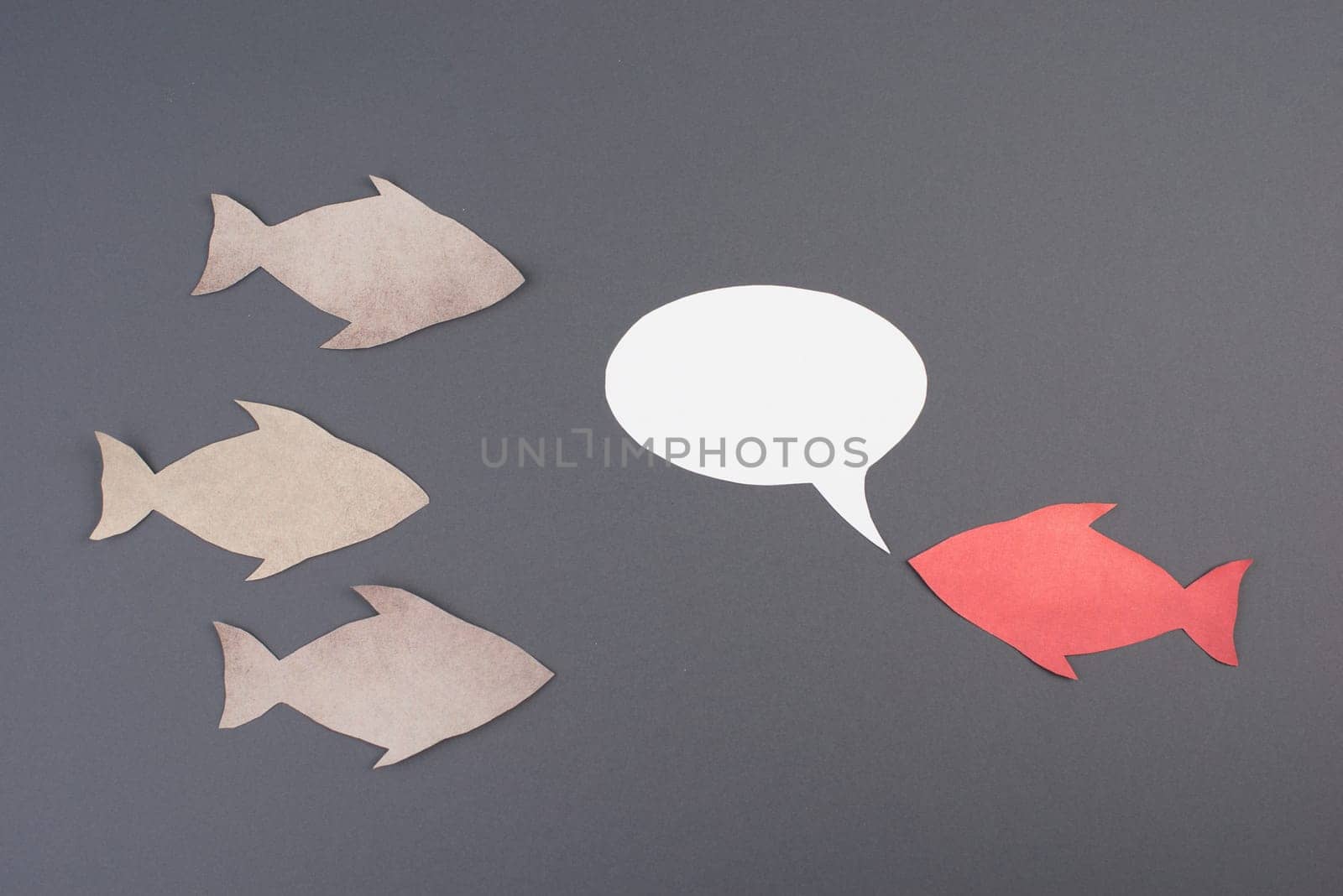 Fish with speech bubble, communication, having a discussion, sending a message, copy space, grey background