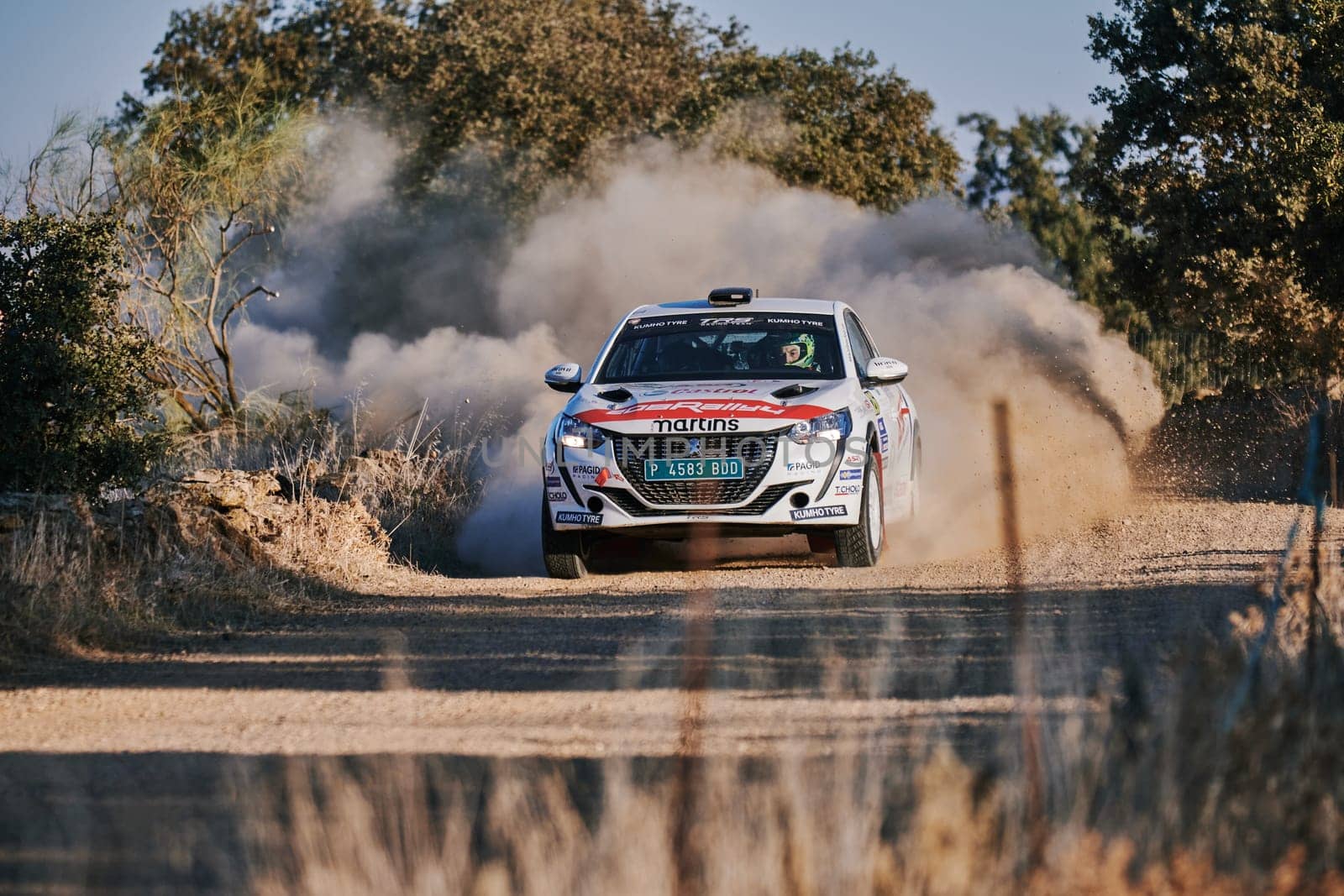 Pozoblanco, Cordoba, Spain-october, 23, 2021: rally cars in full competition going through the first stage