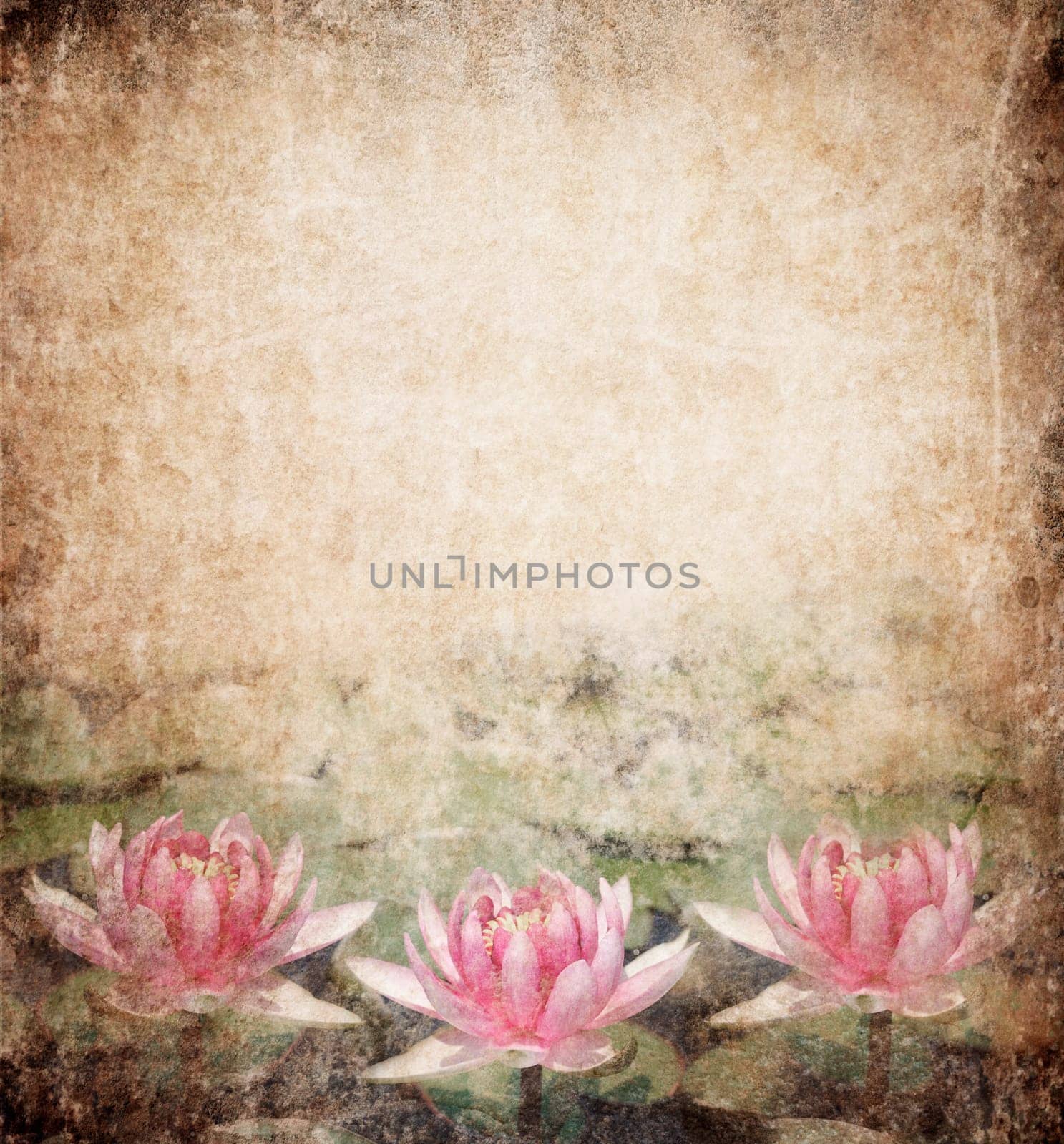 Water Lily on dirty grunge textured background