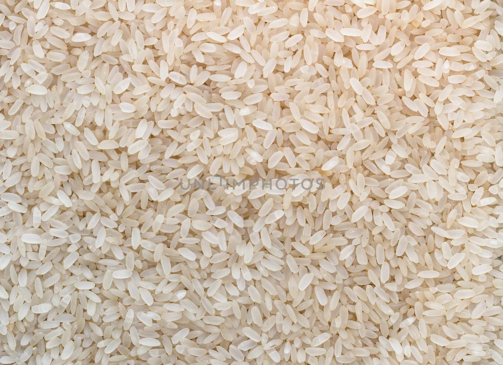 Uncooked rice. It can be used as concepts or backgrounds.
